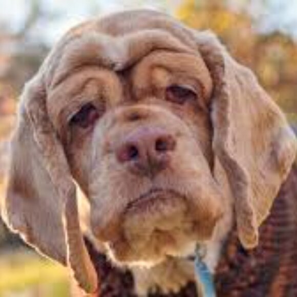 Meet your Posher, Born 2 Be Free 316 - Picture 4 of 4